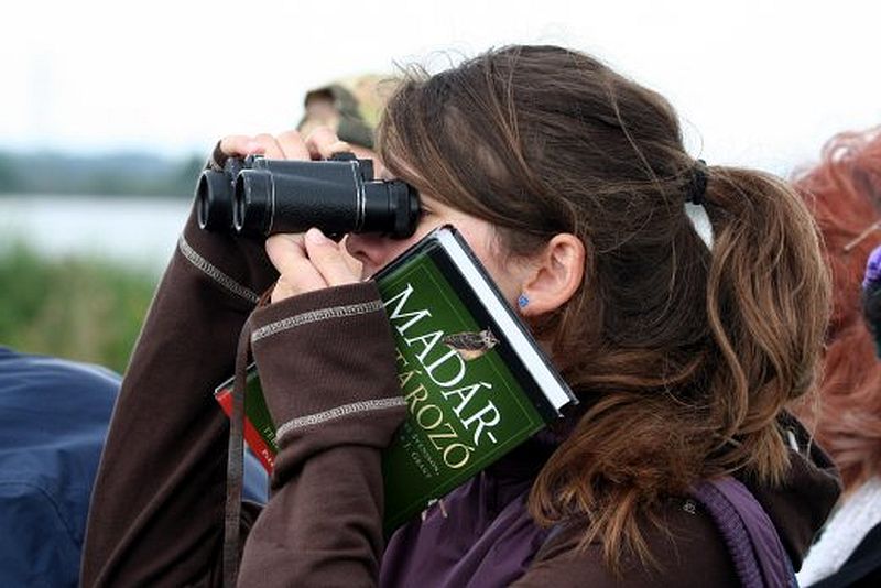 Kezdő madarász vagyok - képzés indít Székesfehérváron az MME